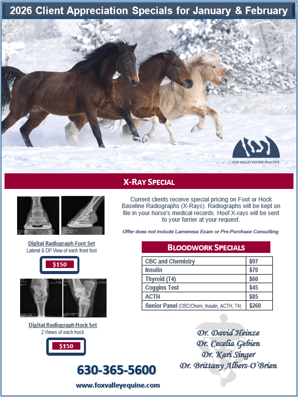 FVE-Xray-Special-2026b FVE X-Ray Special Flyer